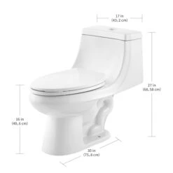 Project Source 1-Piece Vitrous China Elongated Toilet - 3.8 L/6 L