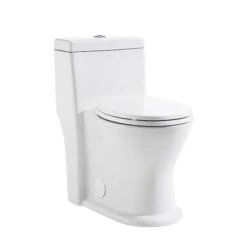 Project Source Dual Flush 1-Piece White Toilet 4 L/6 L