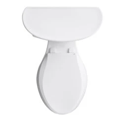 Kohler Cavata Elongated 2-Piece Toilet - White