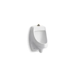 KOHLER Dexter 13.75-in W X 20.75-in H White Wall Mounted Watersense Labelled Urinal