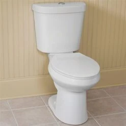 American Imaginations White WaterSense Labelled Dual Flush Elongated Standard Height 2-Piece Toilet - 12-in Rough-In Size