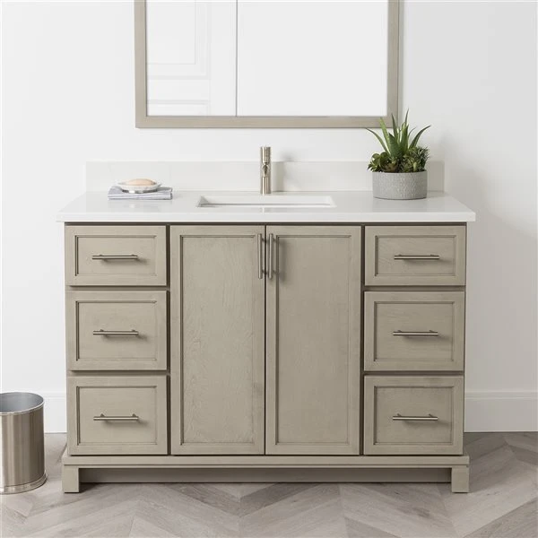 Tenor 48-in Aspen Vanity With Carrera Quartz Top - Image 4