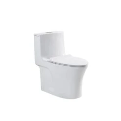 KOLNER Geneva White WaterSense Labelled Dual-Flush Elongated Comfort Height Toilet With 12-in Rough-In