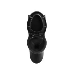 Gef Lyric Black Watersense Labeled Dual Flush Elongated Toilet