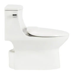 Pfister Masey White 1-Piece Single Flush Elongated Comfort Height Toilet (1.28 GPF)
