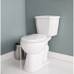 Project Source Total Eco 2-Piece White Porcelain Toilet With Microban Seat - 4.8 L