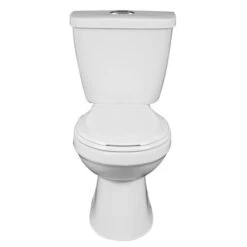 Project Source 2-Piece White China Dual-Flush Toilet Of 4 L And 6 L