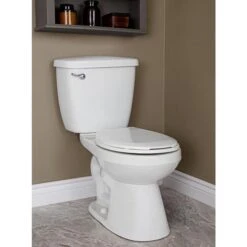 Project Source Toilet To Grab 2-Piece Round Front White Toilet - 6 L